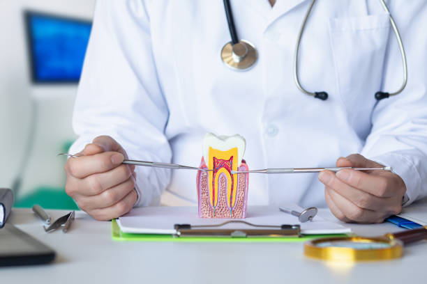 Best Root Canal Emergency Dentist  in Browntown, PA